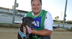 ‘GUTSY’ LOCAL A GREYHOUND TO BE RECKONED WITH