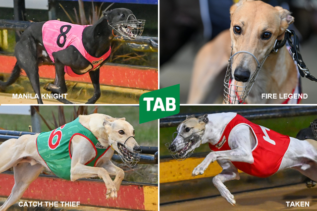 TAB Greyhound Racing Cranbourne Classic