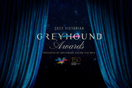 2023 Victorian Greyhound Awards – Every Recipient